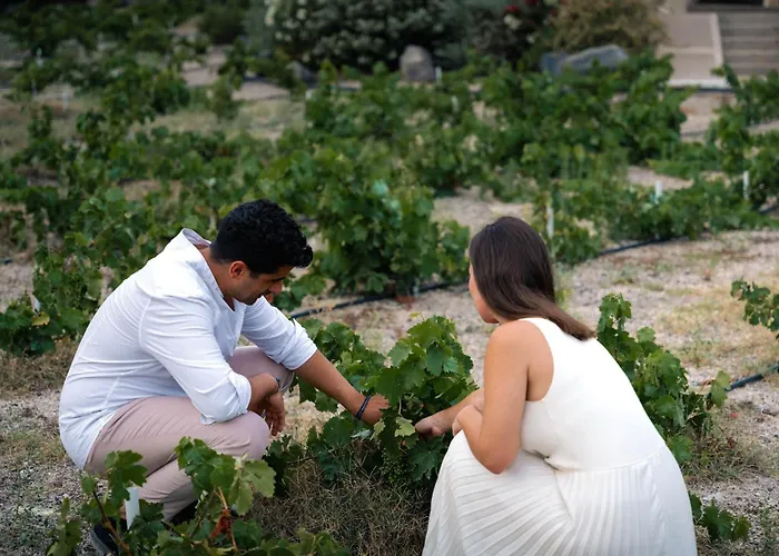 Phaos At Cellaria Estate Villa *