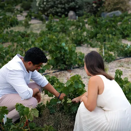 Phaos At Cellaria Estate 빌라 *